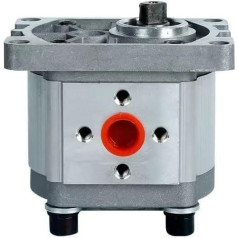 Hidraulinis krumpliaratinis siurblys Runding Hydraulische Zahnradpumpe CBN/CBT/CBW304 306 310 314 316 320 325 Kleine Hochdruck-Ölpumpe(CBT-CBN-F304(20MPA),Form-01)