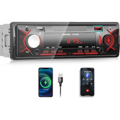 OiLiehu 1Din automobilinis radijas 