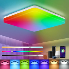 LEOEU išmanioji LED lubų lempa, reguliuojamas RGB spalvų keitimas, 24 W 2400 LM LED lubų lempa 