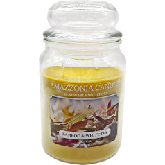 Amazzonia Candle Pink Pepper Pod Bamboo 18 oz natūralaus kvapo žvakė, sojų vaško žvakė, aplinkos oro gaiviklis, dekoratyvinė balta žvakė, stiklinė žvakė