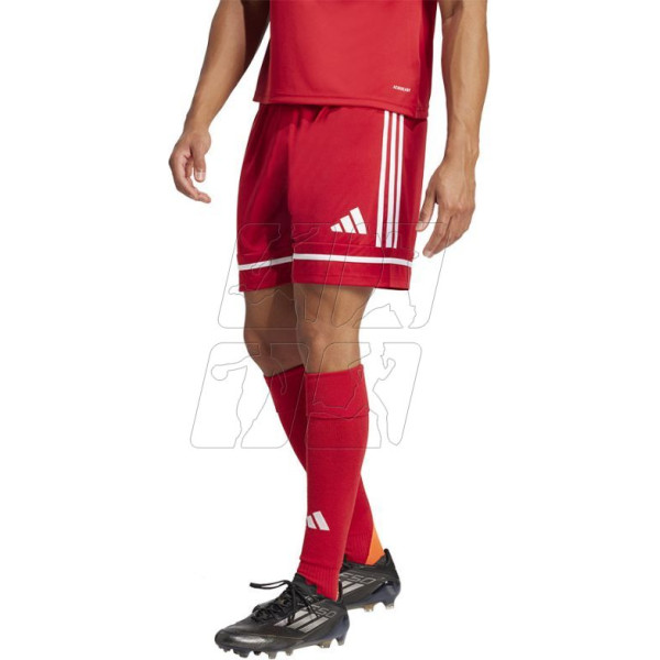 Squadra M 25 Trumpi futbolo šortai JN5466 / M