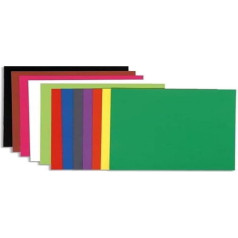 Exacompta 160001E 100 aplankų pakuotė Flash DIN A4 Iš itin tvirto perdirbto kartono 10 spalvų 10 spalvų Puikiai tinka biurui ir namams Biuras Laisvų lapų dėklas