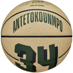 NBA krepšinio žaidėjo ikona Giannis Antetokounmpo mini kamuolys WZ4007501XB / 3