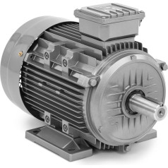 Trifazis asinchroninis elektros variklis 2950 aps/min 230/400 V 5,5 kW