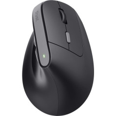 Belaidė ergonominė pelė bayo ii juoda