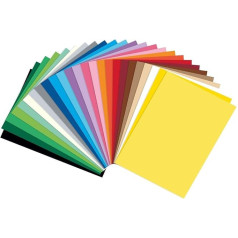 Folia 614/25009 Nuotraukų kortelė 300 gsm A4, 250 lapų, įvairios spalvos