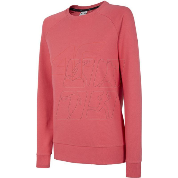 Džemperis W NOSH4-BLD350 63S / 2XL