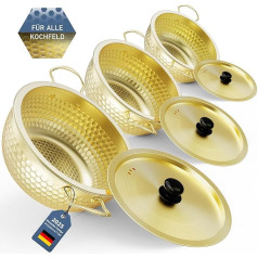Sauté keptuvė su dangčiu, nerūdijančio plieno sauté keptuvių rinkinys, patvarus 18 cm+20 cm+22 cm, PFOA neturintys indai, tinkami plauti indaplovėje ir orkaitėje, suderinami su visomis kaitlentėmis (Gold H1)