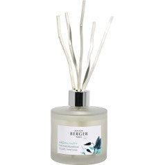 Maison Berger Aroma Happy Aquatic Freshness kvapioji puokštė
