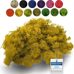 sphagnum-shop.com Tikros dekoratyvinės samanos 