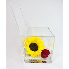 Passionefiori.it Saulėgrąžų kubas stabilizuotas 8 cm su pagrindiniu vandens efektu Amžinasis saulės skydelis Dovanų idėja sužadėtinei, motinai, Kalėdoms, gimtadieniui, jubiliejui (12 cm, saulėgrąža + rožinė)
