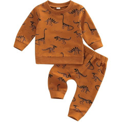 Kūdikių Toddler kūdikių berniukų drabužiai rudenį ilgas rankoves dinozauras spausdinti įgulos kaklo megztinis megztinis kelnės apranga rinkinys
