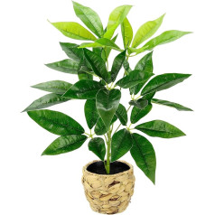 Schefflera Dirbtinis augalas su vazonu Šilko gėlės Šilko gėlės Šilko augalai Dekoratyviniai Aralija Dirbtiniai augalai Kambariniai augalai Dekoratyviniai augalai Dekoratyvinis augalas Žalias augalas Spindintis Aralija Biuro augalas Lapų augalas G