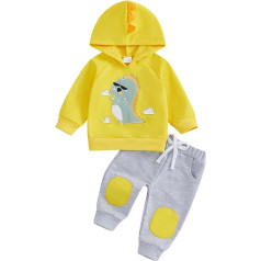 Mažylis kūdikių berniukų apranga ilgomis rankovėmis siuvinėjimas dinozauras Hoodie elastingas juosmuo Sweatpants rudens apranga