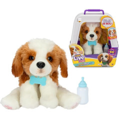 Little Live Pets My Really Real Puppy Pet Toy, 50 garsų ir reakcijų, šuniukas su minkštu kailiuku ir uždaromomis akimis, transportavimo dėžutė ir buteliukas, 4 metų amžiaus, garsus (LP800000)