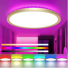 zemty LED lubų šviestuvas, reguliuojamas 30 cm, 24 W 3200 LM RGB lubų šviestuvas su nuotolinio valdymo pulteliu, 3000 K - 6500 K, plokščias vonios kambario šviestuvas, atsparus vandeniui, skirtas vaikų kambariui, miegamajam, svetainei, gyvenamajam
