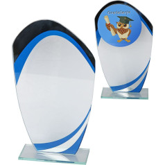Stiklinis trofėjus W553.09 / 20,5 cm