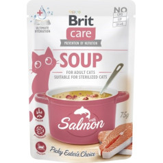 priežiūros sriuba su lašiša 75g katė