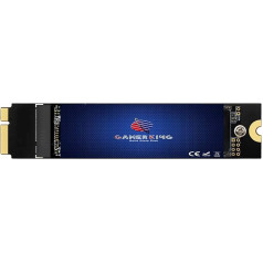 GAMERKING 1 TB SSD kietojo disko vidinis atnaujinimas 2012 m. vidurio 