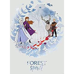 Komar Disney Frozen Spirit WB066-50 x 70 cm (plotis x aukštis) sieninis paveikslas, vaikų kambarys, kūdikių kambarys, dekoracijos, meninė spauda, be rėmelio