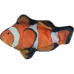 Laukinis gyvenimas Cat Clownfish