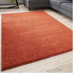 THE RUGS Kilimai svetainei - šiurkštūs kilimai miegamajam ir virtuvei - šiurkštūs, minkšti ir elegantiški | lengva priežiūra | daug dydžių (80 x 300 cm, Terra)