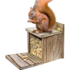 Acunny Eichhörnchen-Futterbox aus , Eichhörnchen-Futterstation im Freien | integriertes Dekorationswerkzeug für Zaun, Baum, Garten, Hof und