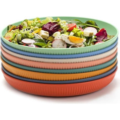 8 dalių plastikinių vakarienės lėkščių rinkinys, 9 colių nedūžtančios spalvingos vakarienės daugkartinio naudojimo lengvos pikniko lėkštės Mikrobangų krosnelėje saugios, puikiai tinka stovyklavimui, piknikui, RV, vakarėliams, BBQ